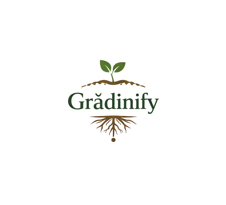 text gradinify intre radacina si planta in dezvoltare